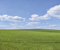 SPRZEDAM DZIAŁKI