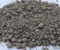 śruta słonecznikowa