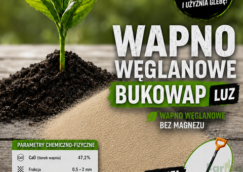 Wapno węglanowe BUKOWAP