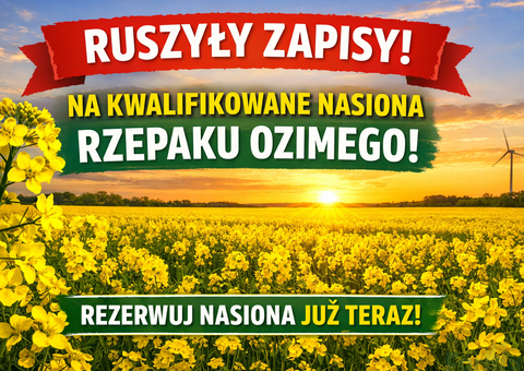Rzepak ozimy- nasiona- kwalifikat-na zamówienie