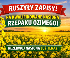 Rzepak ozimy- nasiona- kwalifikat-na zamówienie