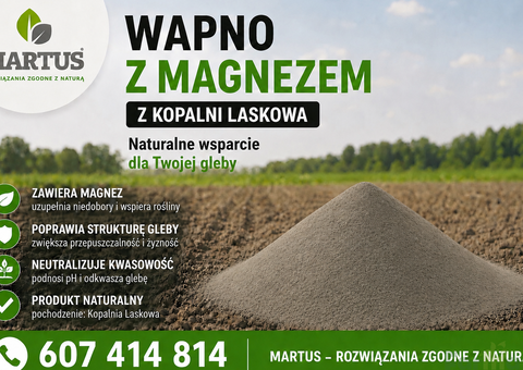 Wapno węglanowe z magnezem z Kopalni Laskowa