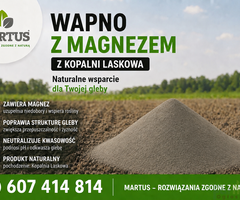 Wapno węglanowe z magnezem z Kopalni Laskowa