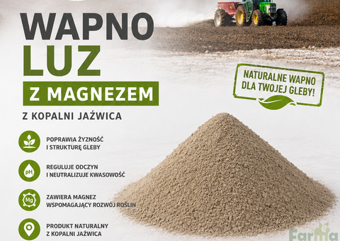 Wapno węglanowe z magnezem z Kopalni Jaźwica