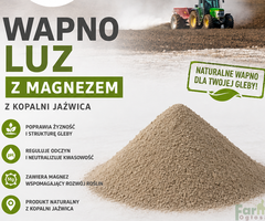 Wapno węglanowe z magnezem z Kopalni Jaźwica