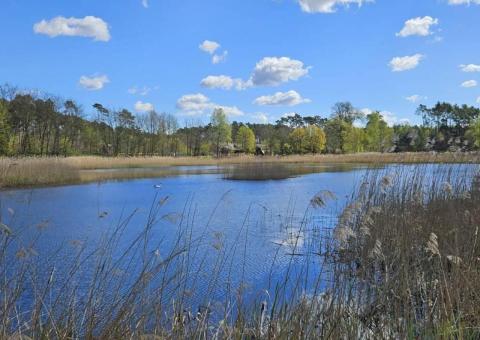 NA SPRZEDAŻ KOMPLEKS STAWÓW I GRUNTÓW W RADNICY- 34,81 ha - 2/2